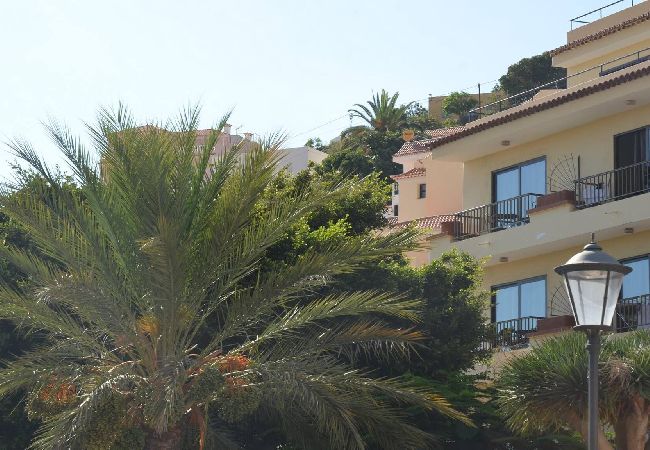 Ferienwohnung in Valle Gran Rey - El Molino 3A Ferienwohnung in Valle Gran Rey - El Molino 3A