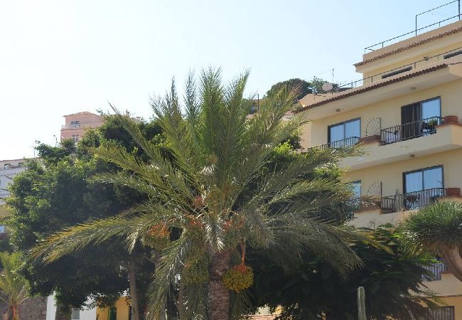 Ferienwohnung in Valle Gran Rey - El Molino 3A Ferienwohnung in Valle Gran Rey - El Molino 3A