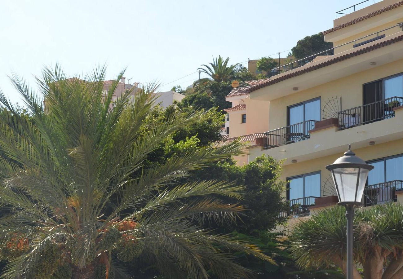 Ferienwohnung in Valle Gran Rey - El Molino 3A Ferienwohnung in Valle Gran Rey - El Molino 3A