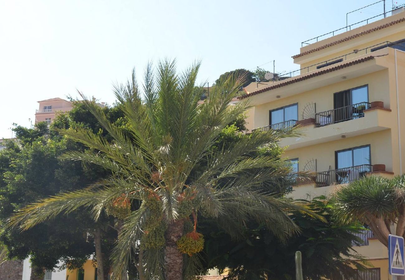 Ferienwohnung in Valle Gran Rey - El Molino 3A Ferienwohnung in Valle Gran Rey - El Molino 3A