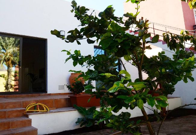 Ferienwohnung in Valle Gran Rey - Los Mirlos 2 Ferienwohnung in Valle Gran Rey - Los Mirlos 2