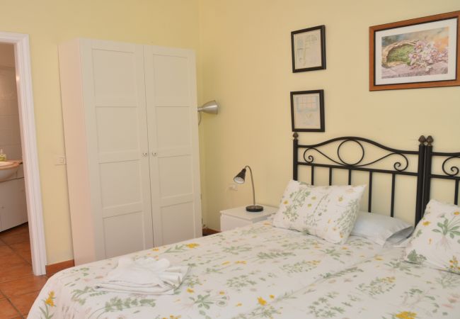 Studio in Valle Gran Rey - La Molina Estudio Studio in Valle Gran Rey - La Molina Estudio