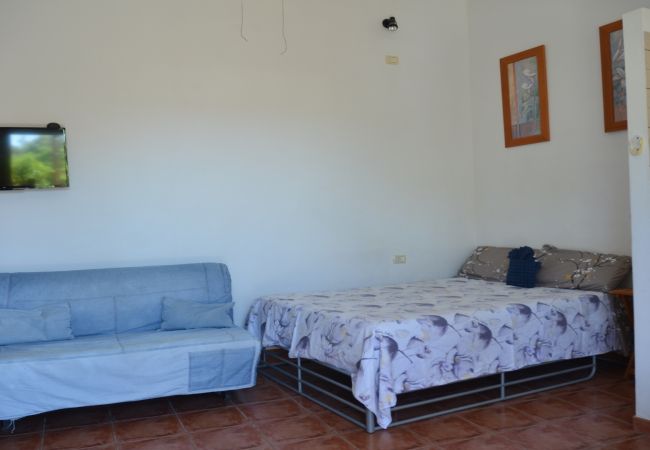 Studio in Valle Gran Rey - La Lonja 1 Studio in Valle Gran Rey - La Lonja 1