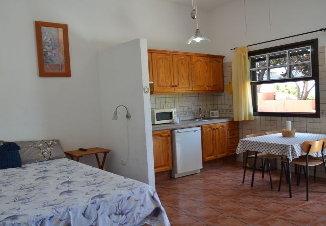 Studio in Valle Gran Rey - La Lonja 1 Studio in Valle Gran Rey - La Lonja 1