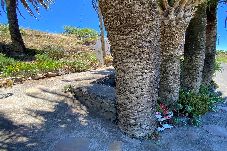 House in Vallehermoso - Casa Los Altos