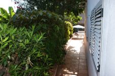 House in Valle Gran Rey - Blumenhaus