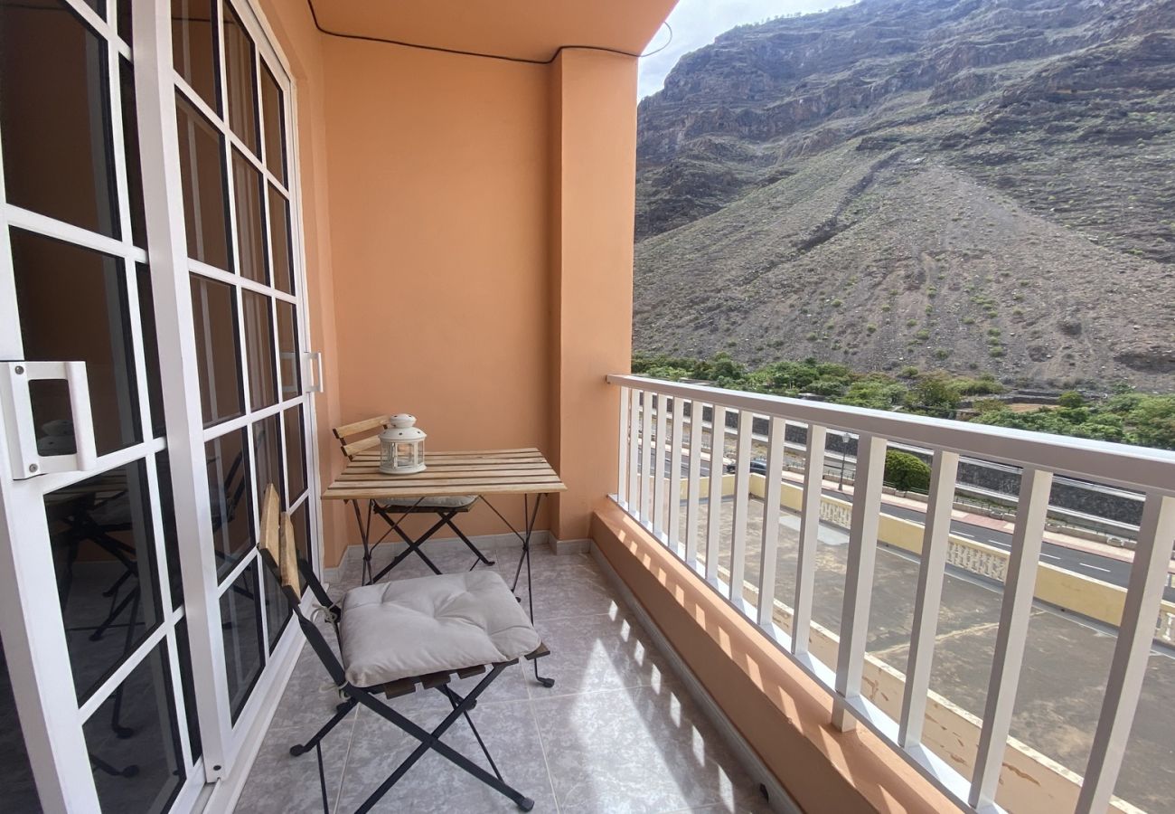 Apartment in Valle Gran Rey - Casa Luisa