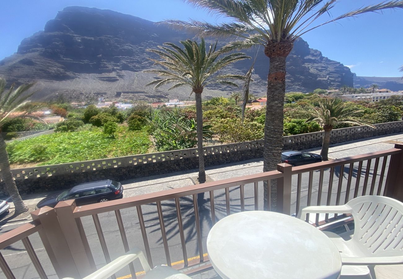 Studio in Valle Gran Rey - El Bajío 204