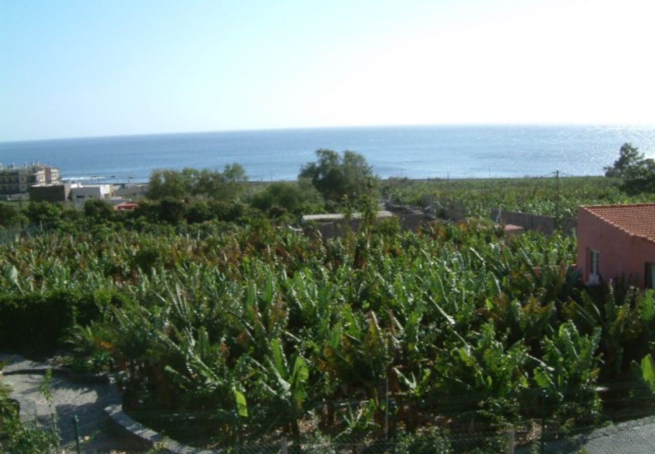 Studio in Valle Gran Rey - Estudio Victor