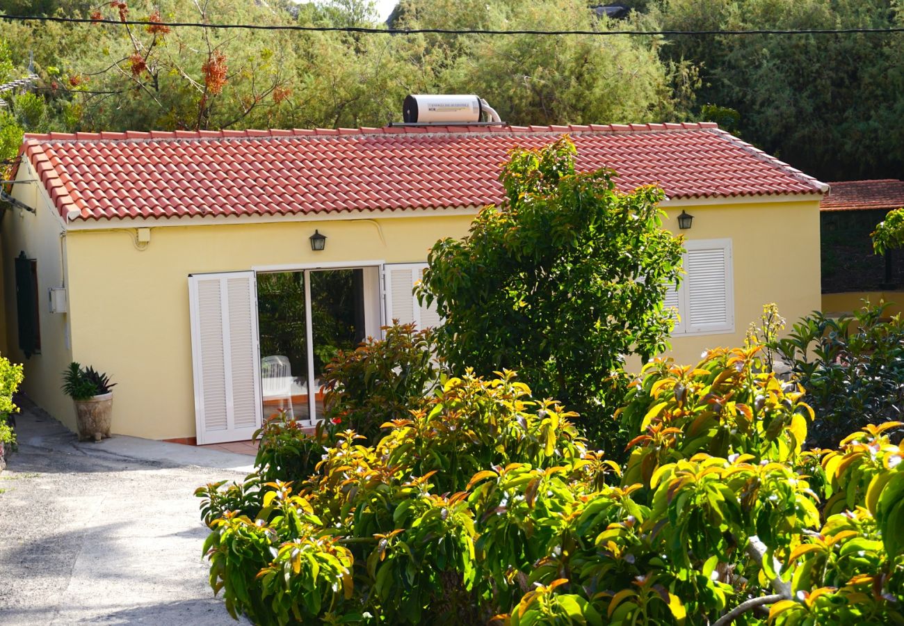 House in Valle Gran Rey - Plantagenhaus