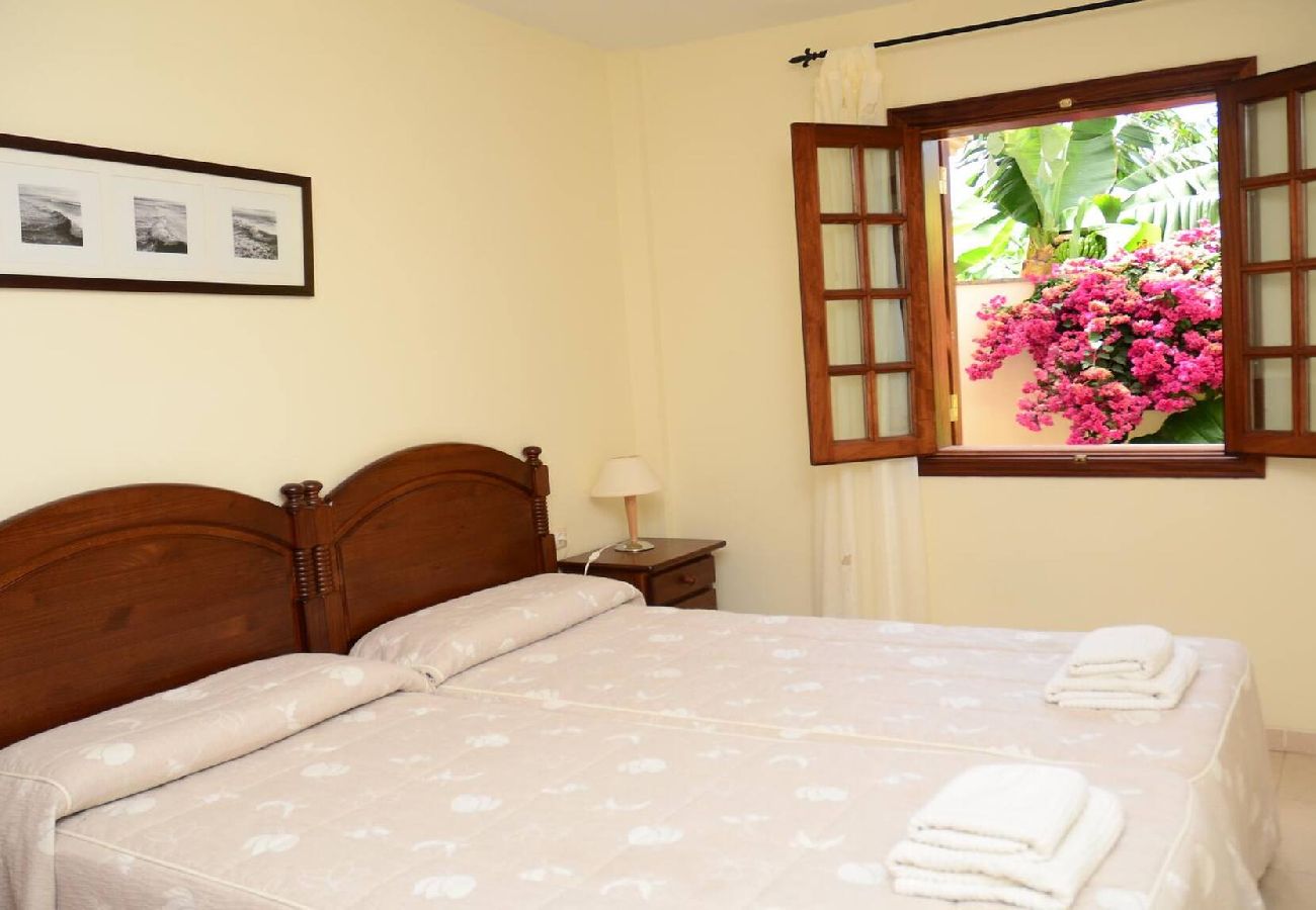 Apartamento en Valle Gran Rey - Heliconia Nº 3